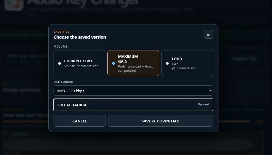 The Save File dialog with Current Level, Maximum Gain, and Loud options, MP3 output, and the Save and Download button.